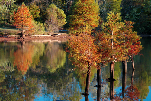 Les plus beaux paysages en cette saison...