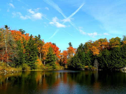 Les plus beaux paysages en cette saison...