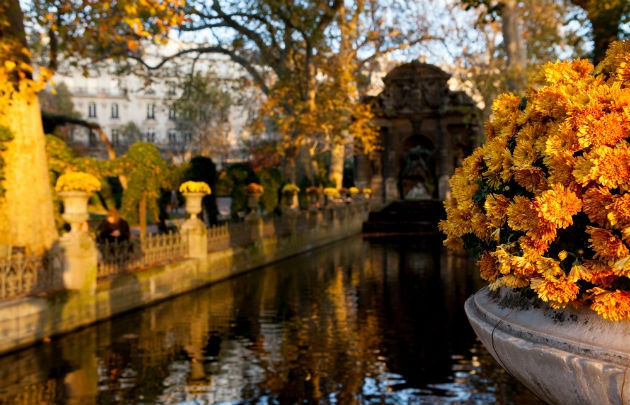 Automne-Jardin-du-Luxembourg