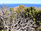 Cap-de-Bonne-Esperance-
