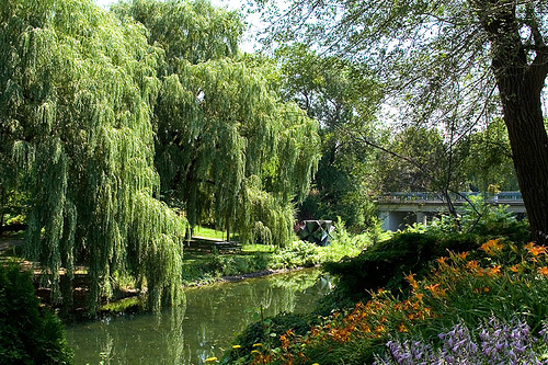 jardin au Québec