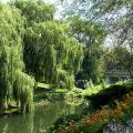 jardin au Québec