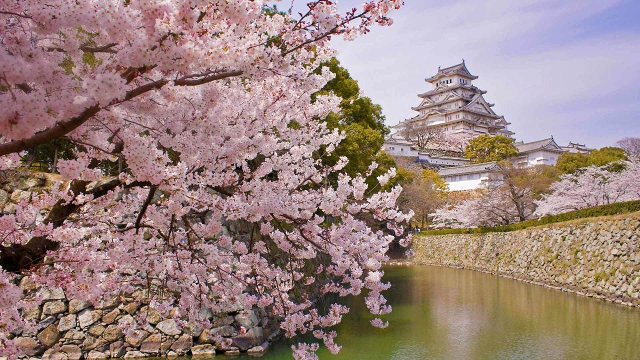 printemps japonais