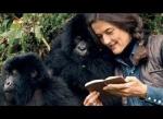 Dian fossey2 1