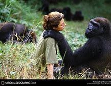 Dian fossey4 1